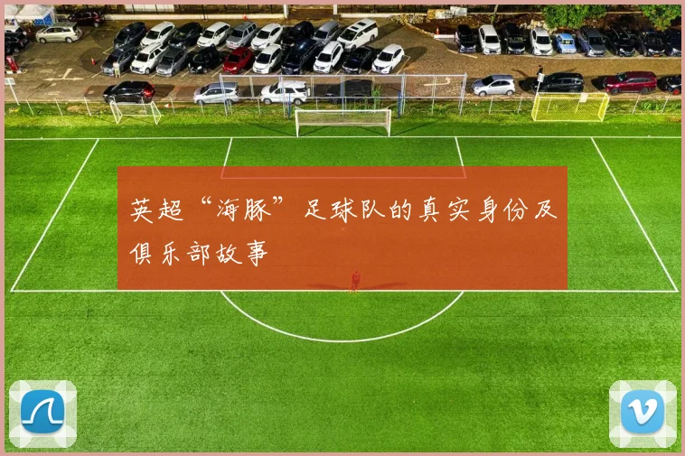 英超“海豚”足球队的真实身份及俱乐部故事