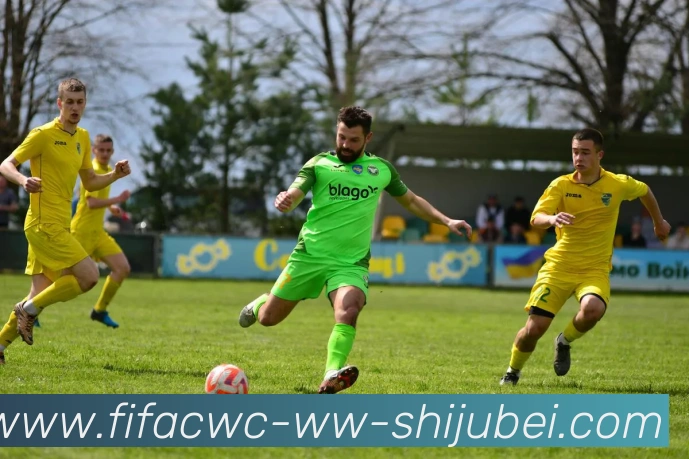 多媒体互动体验