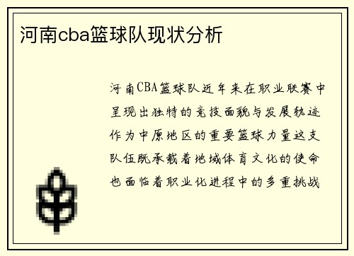 河南cba篮球队现状分析
